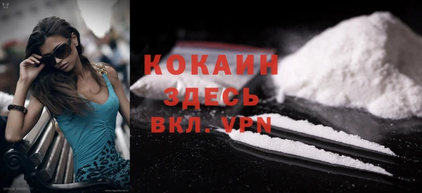 мдпв Няндома
