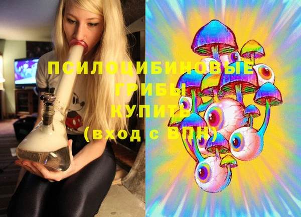 мдпв Няндома