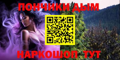 меф Гатчина