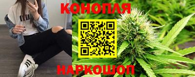 шишки Гагарин