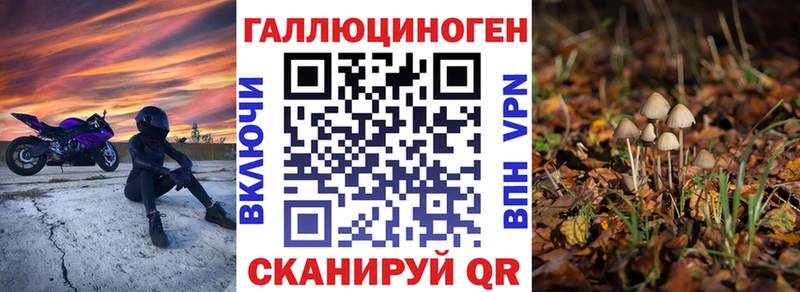 Галлюциногенные грибы мухоморы  KRAKEN зеркало  мориарти состав  где продают   Знаменск 