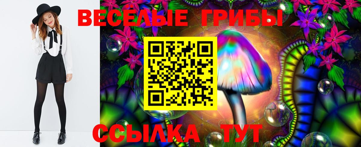 Галлюциногенные грибы Cubensis Знаменск